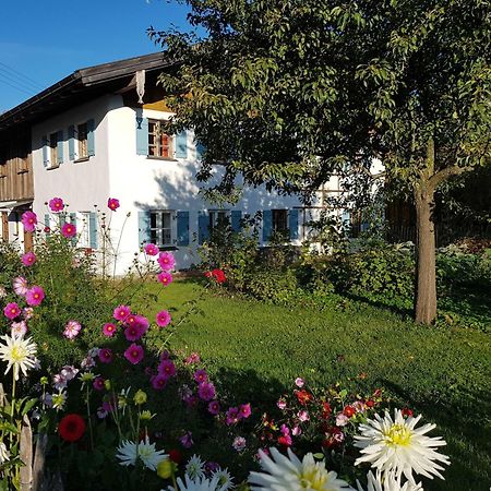 Ferienwohnung Hofen 5 Peiting Eksteriør billede